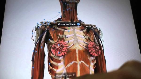 Pocket Anatomy App (iOS) gratis (statt 15€) - 3D Material ideal für Studenten oder Schüler Pocket Anatomy App (iOS) gratis (statt 15€) 3D Material ideal für Studenten oder Schüler