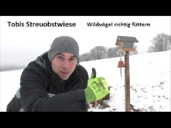 Doppelpack diluma Nistkasten Vogelhaus aus Holz für 13,95€ (statt 22€) Doppelpack diluma Nistkasten Vogelhaus aus Holz für 13,95€ (statt 22€)