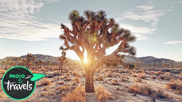 Kostenlos 2020 an 5 Tagen in Nationalparks in den USA Kostenlos 2020 an 5 Tagen in Nationalparks in den USA