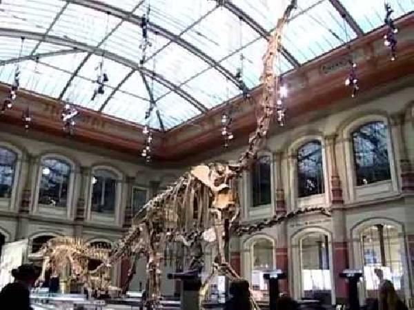 Berlin: Freier Eintritt im Museum für Naturkunde am 22.10.2018 Berlin: Freier Eintritt im Museum für Naturkunde am 22.10.2018
