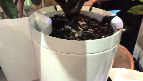 PARROT Pot - App gesteuerter Smart Blumentopf für 27,98€ PARROT Pot App gesteuerter Smart Blumentopf für 27,98€