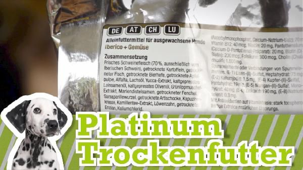 Platinum Hundefutterproben kostenlos anfordern Platinum Hundefutterproben kostenlos anfordern