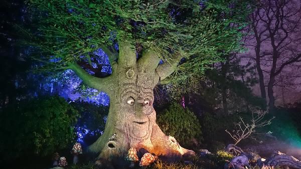 1ÜN mit Frühstück im Hotel De Druiventros inkl. Tagesticket für den Efteling Park ab 79€ p.P. 1ÜN mit Frühstück im Hotel De Druiventros inkl. Tagesticket für den Efteling Park ab 79€ p.P.