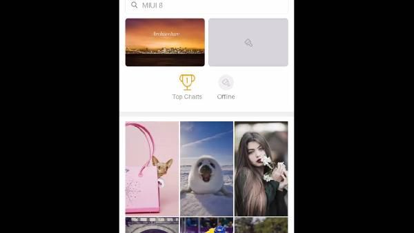 Xiaomi Mi 5 - Testbericht Xiaomi Mi 5 Testbericht