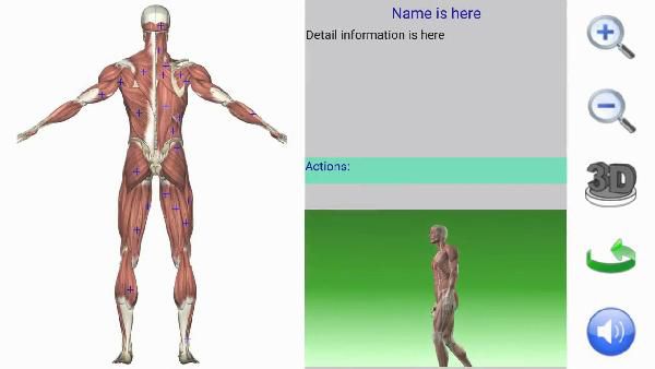 Abgelaufen! Android- & iOS-App: Abgelaufen! Android & iOS App: 3D Anatomy kostenlos (statt 2,99€ oder 4,49€)