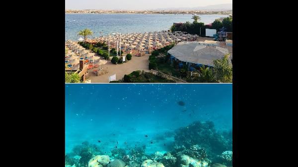 ITS Urlaubskracher zum Wochenende - z.B. 1 Woche Cala Ratjada im Mai ab 222€ p.P. ITS Urlaubskracher zum Wochenende z.B. 1 Woche Cala Ratjada im Mai ab 222€ p.P.