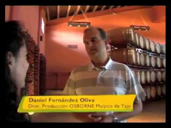 Calle Principal Edición Limitada Sauvignon Blanc 12er Kiste für 45€ Calle Principal Edición Limitada Sauvignon Blanc 12er Kiste für 45€