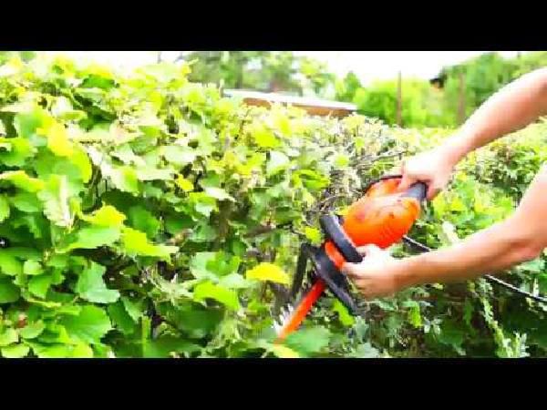Black + Decker GT5560-QS Elektro-Heckenschere ab 34,99€ (statt 64€) Black + Decker GT5560 QS Elektro Heckenschere ab 34,99€ (statt 64€)
