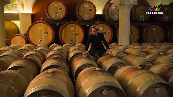 10tägige Weinreise durch Italien mit Frühstück, Abendmenüs & Weinverkostungen ab 499€ p.P. 10tägige Weinreise durch Italien mit Frühstück, Abendmenüs & Weinverkostungen ab 499€ p.P.