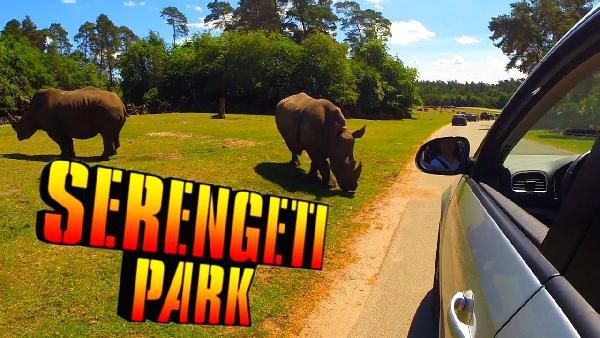 Serengeti Tier & Erlebnispark Lüneburger Heide + 2 Nächte 4* Hotel mit HP ab 99€ p.P. Serengeti Tier & Erlebnispark Lüneburger Heide + 2 Nächte 4* Hotel mit HP ab 99€ p.P.