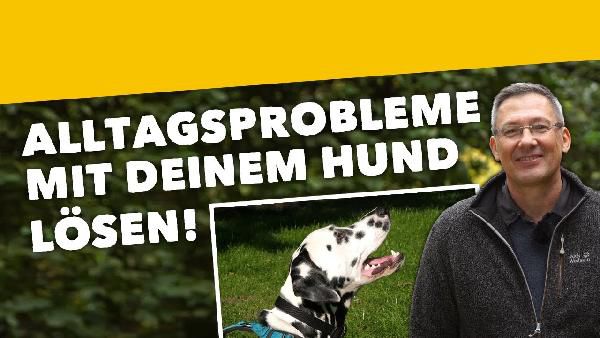 Online-Hundeschule Online Hundeschule MyDog365 ab jetzt gratis (statt ca. 9€ pro Monat)