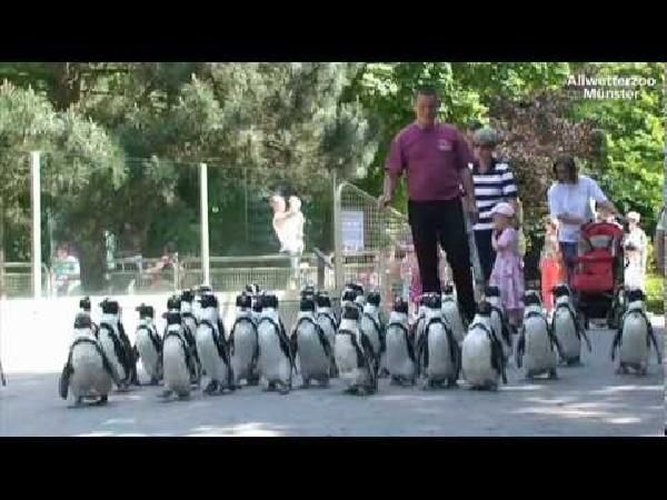 Allwetterzoo Münster: Ab dem 15.12.2018 „Zahl, was du willst! Allwetterzoo Münster: Ab dem 15.12.2018 „Zahl, was du willst!