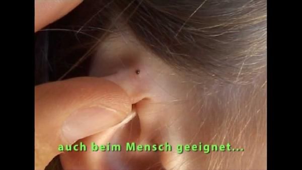 Nützliches Gadget: O'Tom Tick Twister Zeckenhaken (2er Pack) für 8,46€ Nützliches Gadget: OTom Tick Twister Zeckenhaken (2er Pack) für 8,46€