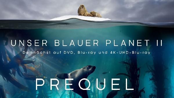 Kostenlos: Doku Kostenlos: Doku BLUE PLANET 2 Der blaue Planet (IMDb 9,3)