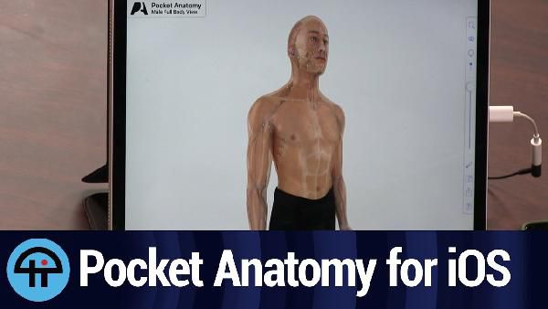 iOS: Pocket Anatomy. kostenlos (statt 1,09€) iOS: Pocket Anatomy. kostenlos (statt 1,09€)
