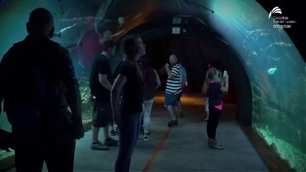 Für DKB-Aktivkunden: Gratis-Besuch von Unterwasserwelten Für DKB Aktivkunden: Gratis Besuch von Unterwasserwelten