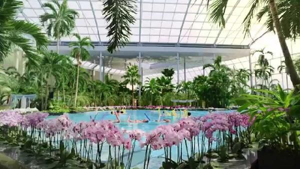 Sinsheim schwimmbad palmen