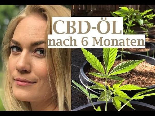 Black Freitag Rabatt bei Traumtropfen + keine VSK - günstiges Premium CBD Öl (gilt auch auf Bundles) Black Freitag Rabatt bei Traumtropfen + keine VSK günstiges Premium CBD Öl (gilt auch auf Bundles)