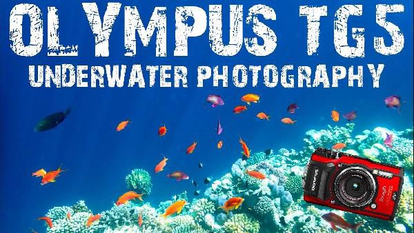 OLYMPUS Tough! TG-5 Digitalkamera 4K Videos bis 15m Wasserdicht für 349€ (statt 375€) OLYMPUS Tough! TG 5 Digitalkamera 4K Videos bis 15m Wasserdicht für 349€ (statt 375€)