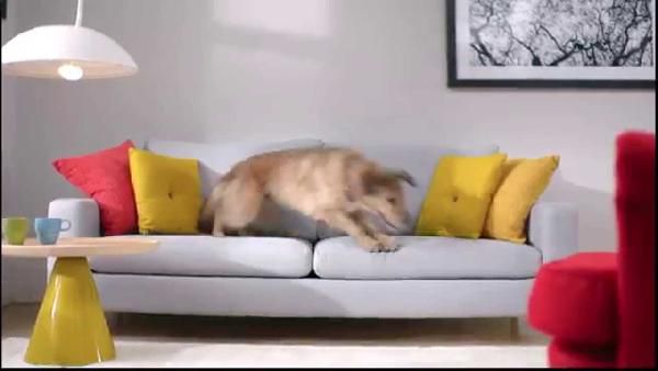 Dyson V6 Top Dog - Handstaubsauger für 129€ (statt 218€) Dyson V6 Top Dog Handstaubsauger für 129€ (statt 218€)