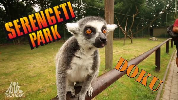 Kostenlos: Eintritt in den Serengeti-Park inkl. Alvaro Soler Auftritt – nur HEUTE! Kostenlos: Eintritt in den Serengeti Park inkl. Alvaro Soler Auftritt – nur HEUTE!