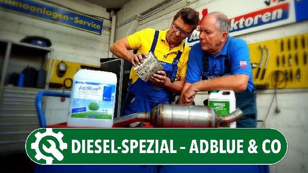Möglichkeiten der Diesel-Umrüstung Möglichkeiten der Diesel Umrüstung