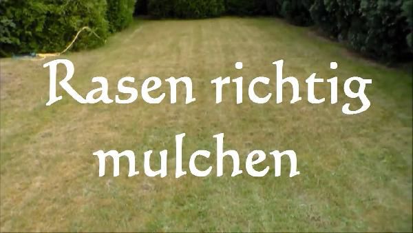 Castelgarden B+S 675 IS - 48 cm Benzin Rasenmäher mit E-Start für 369€ (statt 429€) Castelgarden B+S 675 IS 48 cm Benzin Rasenmäher mit E Start für 369€ (statt 429€)