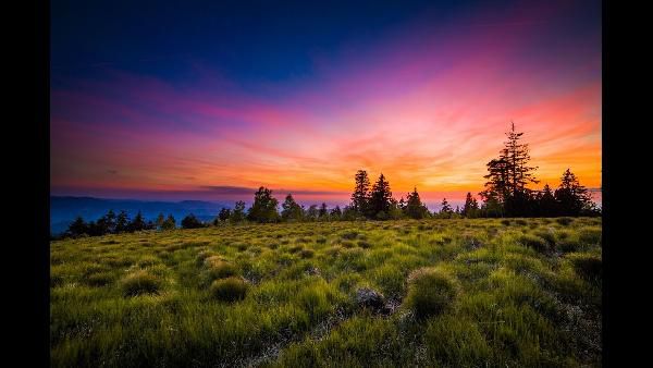 2 ÜN im 4* Naturhotel im Schwarzwald inkl. Frühstück und 4-Gang Abendmenü ab 99€ p.P. 2 ÜN im 4* Naturhotel im Schwarzwald inkl. Frühstück und 4 Gang Abendmenü ab 99€ p.P.