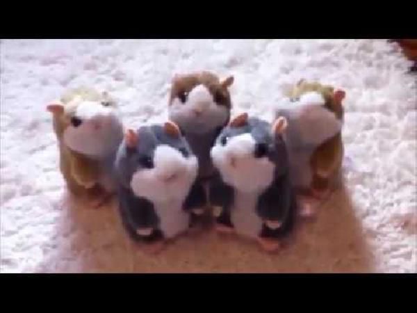 Sprechender Hamster als Plüschtier für 4,93€ Sprechender Hamster als Plüschtier für 4,93€