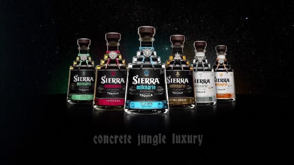 Sierra Milenario Extra Anejo Tequila 0,7l Flasche für 45,99€ (statt 53€) Sierra Milenario Extra Anejo Tequila 0,7l Flasche für 45,99€ (statt 53€)