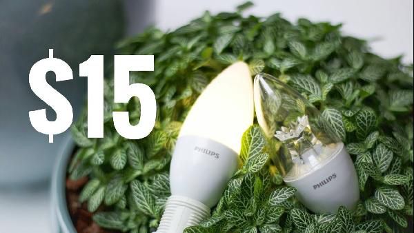 Xiaomi PHILIPS Zhirui LED-Glühbirne (E14) mit App-Steuerung für 9,20€ Xiaomi PHILIPS Zhirui LED Glühbirne (E14) mit App Steuerung für 9,20€