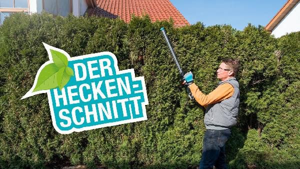 Einhell GC-EH 5550 - 50cm Heckenschere ab 27€ (statt 39€) Einhell GC EH 5550 50cm Heckenschere ab 27€ (statt 39€)