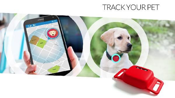 V-Pet Movetrack Echtzeit GPS-Tracker für 79€ + 50€ Cashback inkl. V-Sim für 1,99€ mtl. V Pet Movetrack Echtzeit GPS Tracker für 79€ + 50€ Cashback inkl. V Sim für 1,99€ mtl.