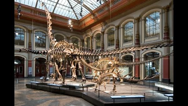 Kostenloser Eintritt in Berliner Museen Kostenloser Eintritt in Berliner Museen